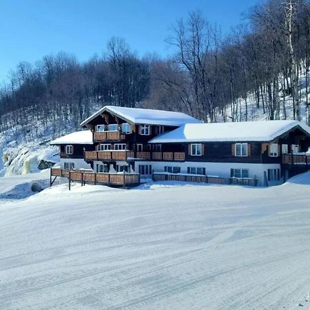 Davos Chalet Upson Экстерьер фото
